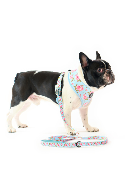 Famous Frenchie Lesa pentru caini, Famous Frenchie, Roses are Pink, 150 cm