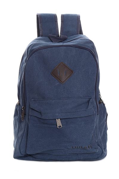 OEM Rucsac albastru pentru barbati, 2 compartimente, material textil, 43x30x20 cm, Recostore, REC1947