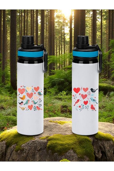 lili hediyelik Birds and Hearts Printed 2-Piece Blue Handled Water Bottle 850 ml