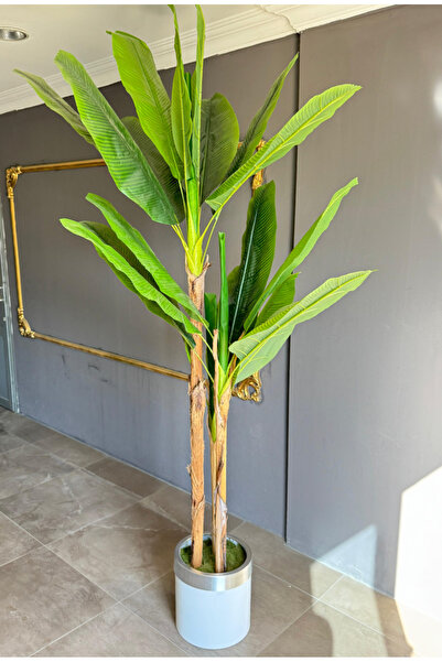 ledison Yapay MUZ Ağacı 3 gövdeli 2.30 Cm Premium Kalite