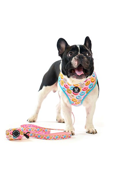 Famous Frenchie 3-piece set, reversible harness, leash, doggy bag accessory, Donut Mania