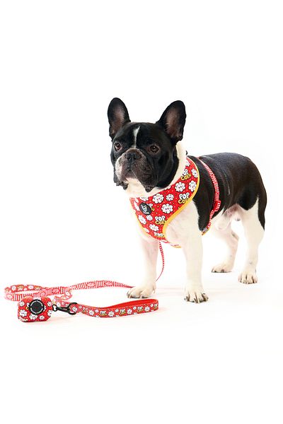 Famous Frenchie Set 3 piese, ham reversibil, lesa, accesoriu pungi pentru catei, Popcorn Fever