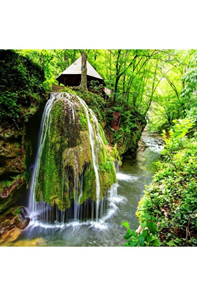 media Tablou canvas Cascada Bigar, 60 x 60 cm