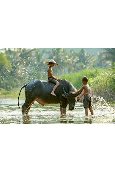 media Tablou canvas People8, 75 x 50 cm