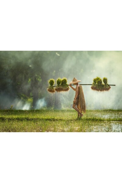 media Tablou canvas People1, 90 x 60 cm