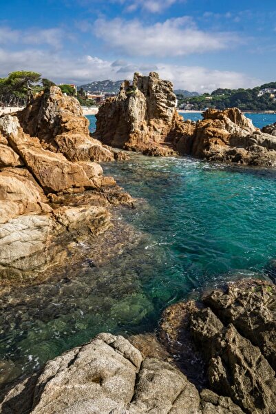 media Fototapet de perete autoadeziv si lavabil Natura142, 135 x 225 cm