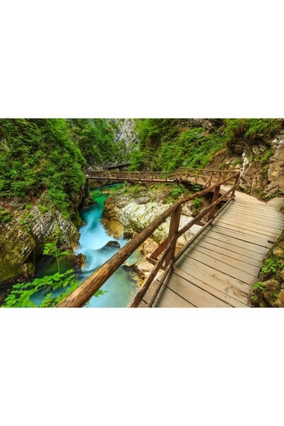 media Tablou canvas Pod de lemn, cheile Vintgar, Slovenia, 45 x 30 cm