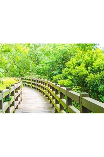 media Tablou canvas Padure35, 105 x 70 cm