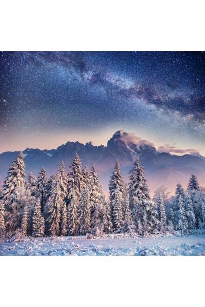 media Tablou canvas Natura111, 90 x 90 cm