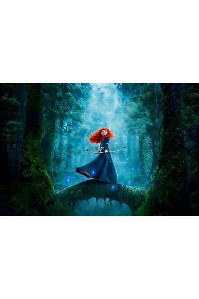media Canvas painting Princess Merida 2, 75 x 50 cm