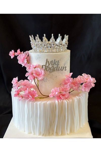 SimgeAksesuar Stylish and Elegant Birthday Cake Crown with Crystal Stone Silver Plated