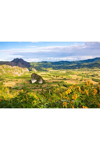 media Tablou canvas Natura139, 60 x 40 cm