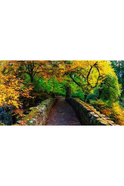 media Canvas painting Stone Bridge, 105 x 70 cm
