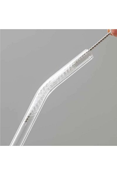 ECARLA Set of 4 borosilicate glass straws with cleaning brush, transparent, eCarla, AB02