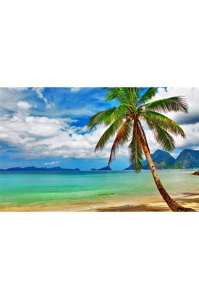 media Canvas painting Beach with palm tree, 90 x 60 cm