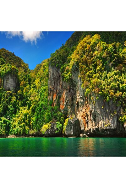 media Tablou canvas Stanci, padure, mare, 70 x 70 cm