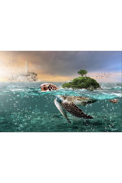 media Canvas painting The Sea and the Turtle, 60 x 40 cm