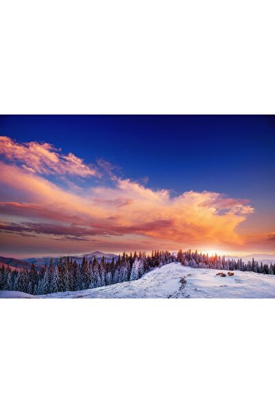 media Tablou canvas Natura140, 75 x 50 cm