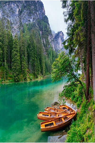 media Fototapet Natura125, 200 x 255 cm