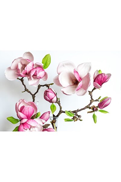 media Tablou canvas Flori149, 45 x 30 cm