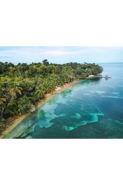 media Tablou canvas Plaja65 pe insula cu palmieri, 75 x 50 cm