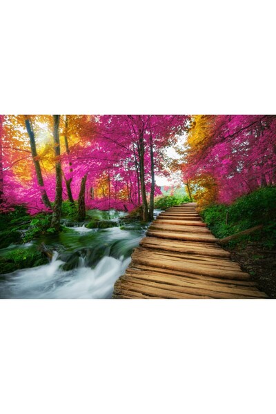 media Tablou canvas Podet lemn, parc national Plitvice2, 75 x 50 cm