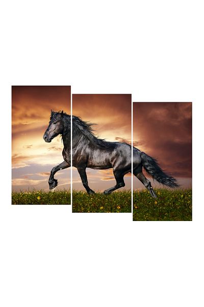 media Multicanvas painting 3 pieces Horses 3, 120 x 90 cm