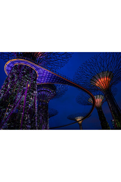 media Tablou canvas Parc Singapore 1, 45 x 30 cm