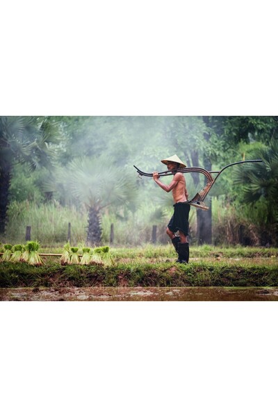 media Tablou canvas People19, 75 x 50 cm