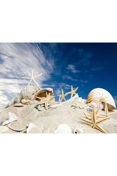 media Canvas painting Beach with stars, 60 x 40 cm