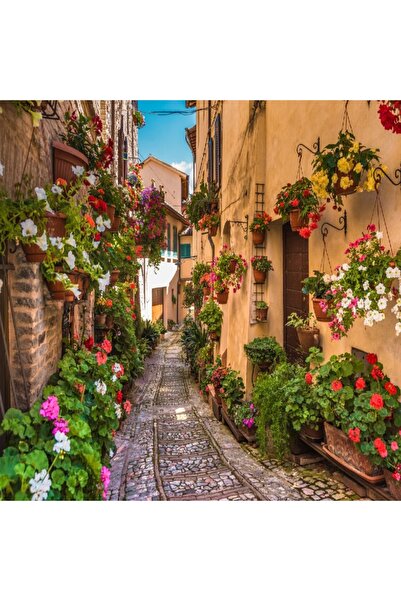media Tablou canvas Strada pietruita, flori, oras medieval, 40 x 40 cm