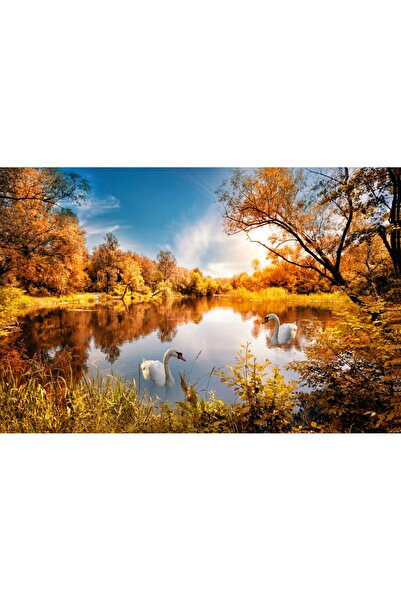 media Tablou canvas Natura170, 45 x 30 cm