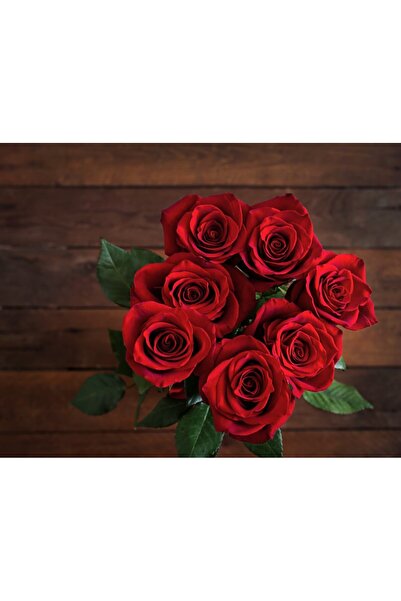 media Tablou canvas Flori123, 105 x 70 cm