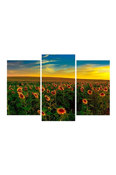 media Tablou multicanvas 3 piese Flori 10, 120 x 85 cm