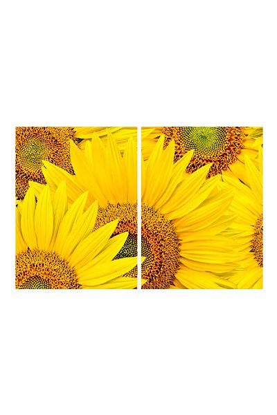 media Multicanvas painting 2 pieces Flowers 2, 100 x 70 cm