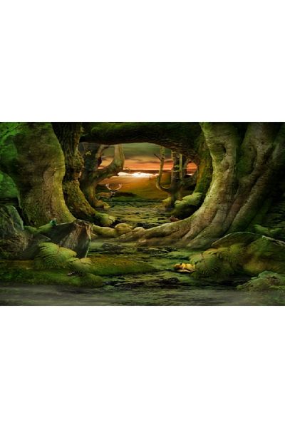 media Canvas painting Tunnel through the forest, 60 x 40 cm