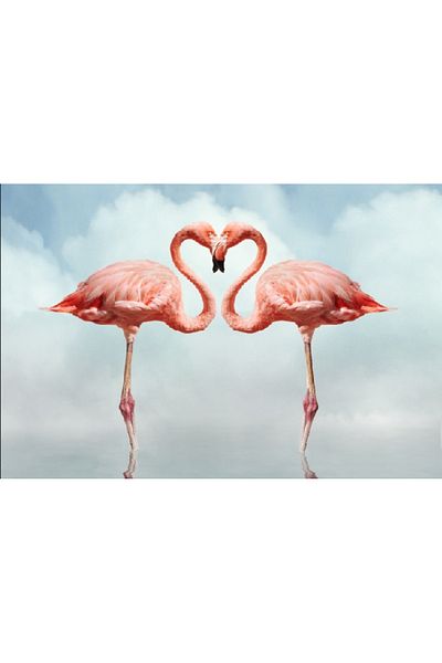 media Canvas painting Love and flamingo, 60 x 40 cm