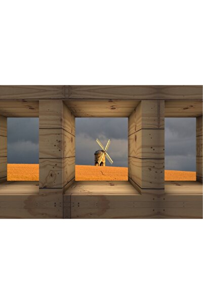 media Tablou canvas Natura 14, 60 x 40 cm