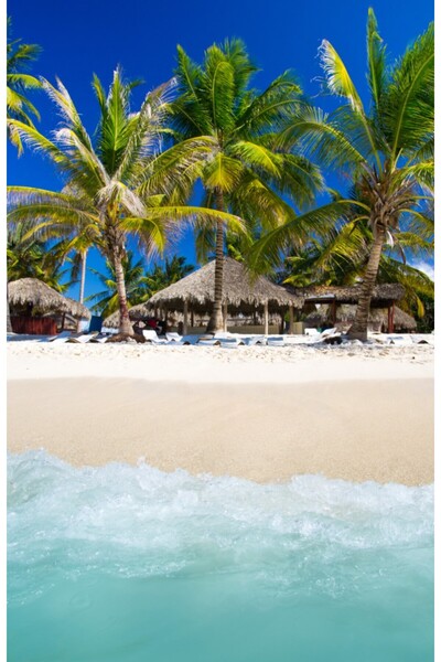 media Tablou canvas Palmier21, 40 x 60 cm