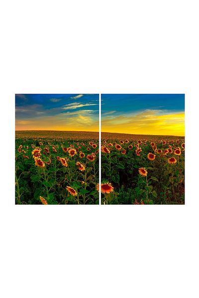 media Multicanvas painting 2 pieces Flowers 13, 100 x 70 cm