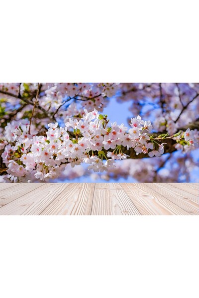 media Fototapet de perete autoadeziv si lavabil Flori100, 200 x 150 cm