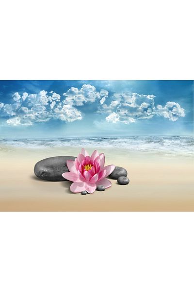 media Canvas painting Flowers 8, 90 x 60 cm