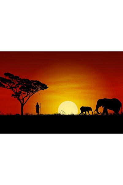 media Tablou canvas Africa, elefanti, apus de soare, 75 x 50 cm