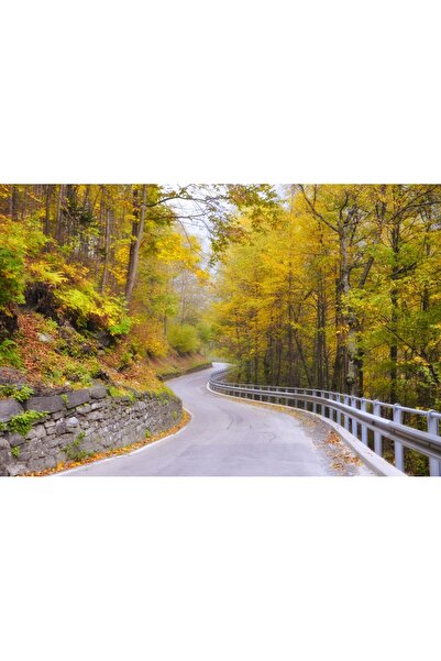 media Tablou canvas Padure68 la inceput de toamna, 60 x 40 cm