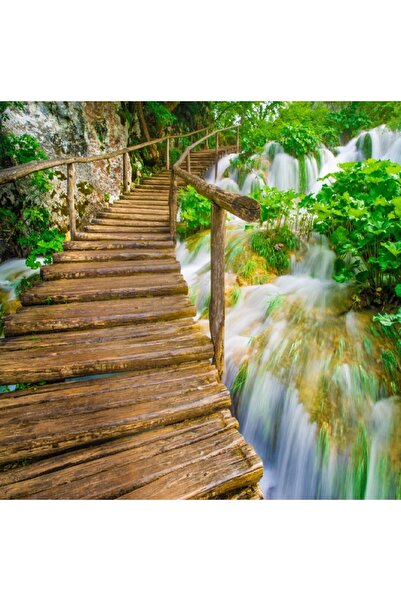 media Tablou canvas Podet de lemn peste cascada, 70 x 70 cm