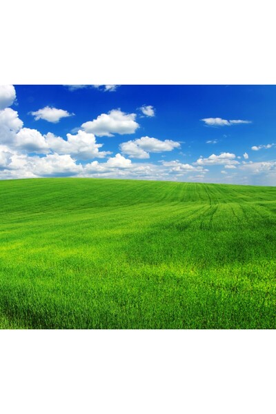 media Tablou canvas Natura105, 60 x 60 cm