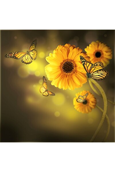 media Tablou canvas Gerbere galbene, buchet, 70 x 70 cm