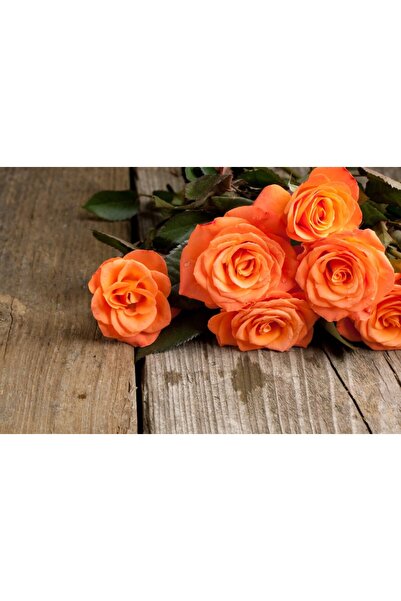 media Tablou canvas Flori132, 90 x 60 cm