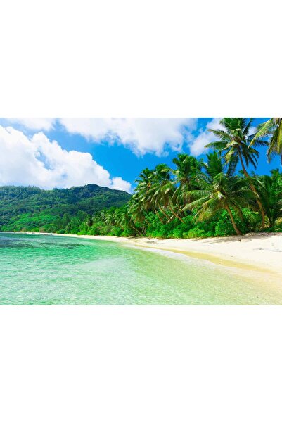 media Tablou canvas Plaja cu multi palmieri, 45 x 30 cm