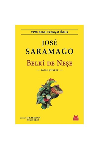 Kırmızı Kedi Yayınevi Belki De Neşe